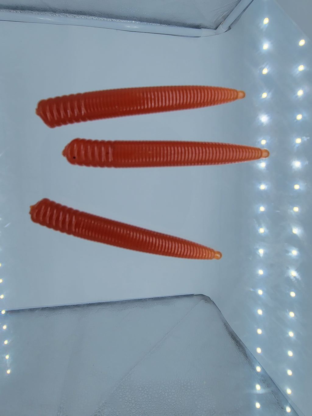 3in Ned worm