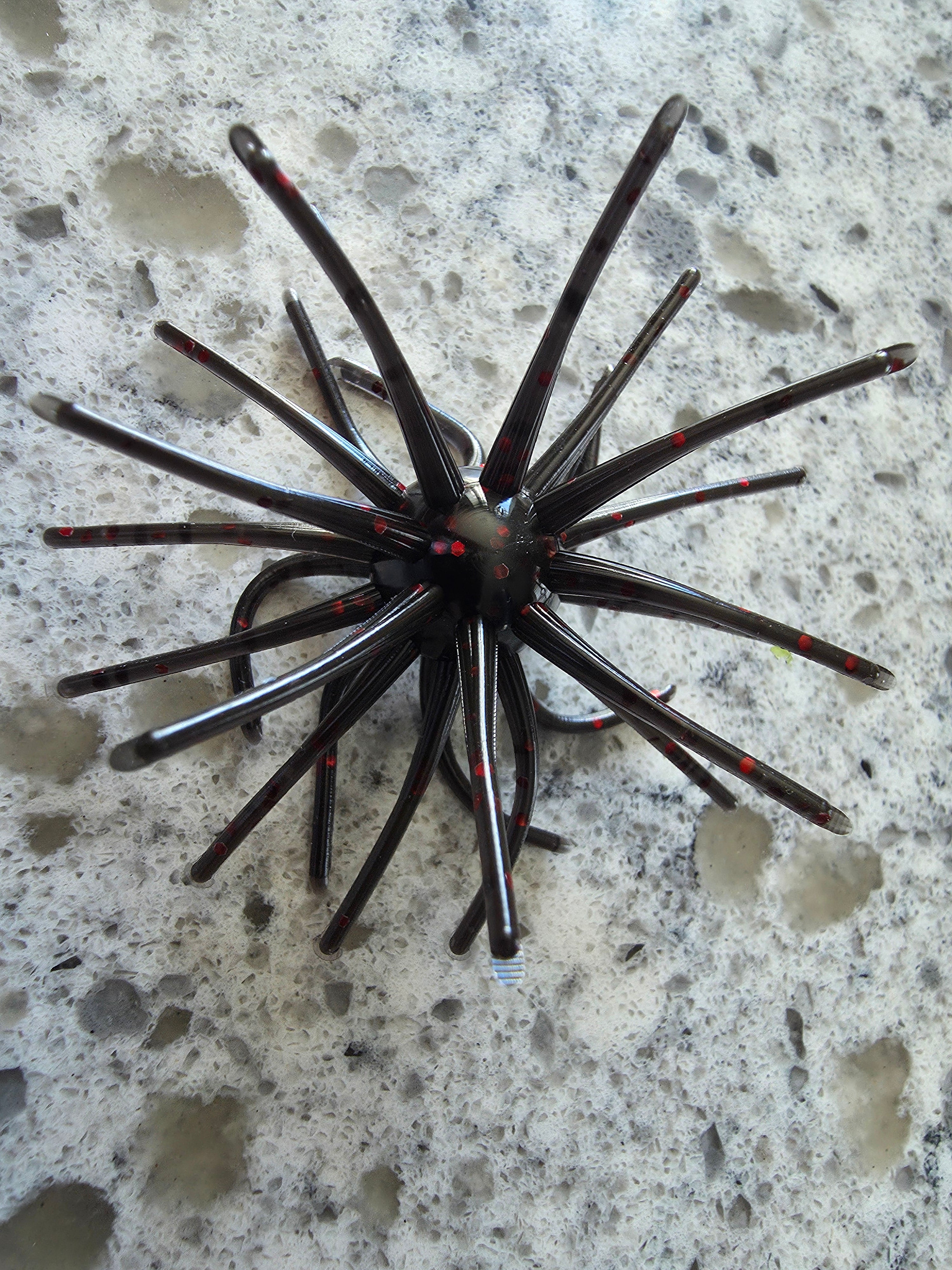 Grups Fuzz Bombs